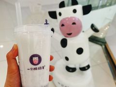 -一只酸奶牛(汕头金平万达广场店)