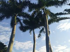 -白沙门生态公园