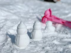 -绿野森林乐园冰雪季