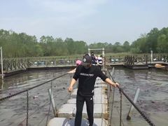 -溱湖国家湿地公园