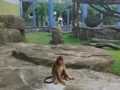 -大连森林动物园