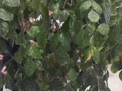 -梦之城购物中心