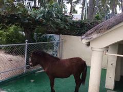 -三亚亚龙湾天域度假酒店