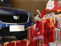 -河南威佳金凯汽车销售服务有限公司