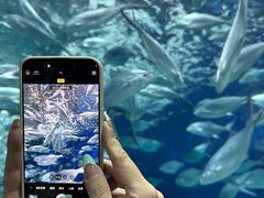 -上海海洋水族馆