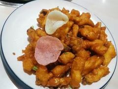 -港升鱼师傅·中山脆肉鲩