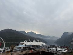 -后柳水乡