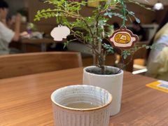 -CURRY YA 熟成咖哩專門店(深圳湾万象城店)