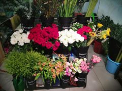 -FEI FEI FLOWER鲜花店·气球派对·宝宝宴布置(虹口德必运动Loft店)