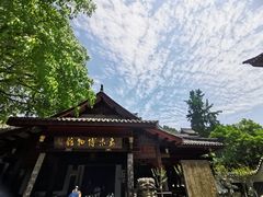 -乐山乌木文化博览苑