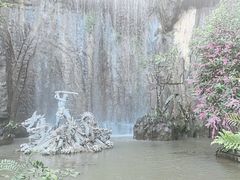 -西双版纳原始森林公园