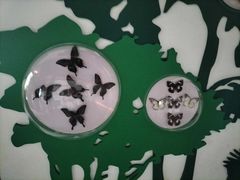 -房山世界地质公园博物馆