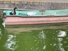 -团结湖公园
