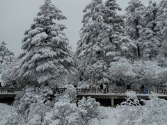 -瓦屋山景区
