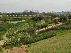 -那考河湿地公园