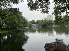 -荔湾湖公园