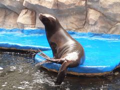 -华夏文旅海洋公园