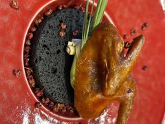 -南堂馆·新川菜(天府三街店)