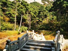 -天柱山风景区