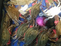 -山东八大碗山东老字号