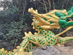 -紫金山山顶公园