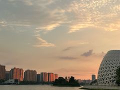-金沙湖公园