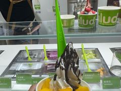 -Salud撒露欧洲冻酸奶(北苑上品店)