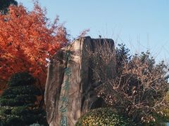 -昆山城市生态森林公园