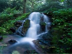 -杭州花家山庄