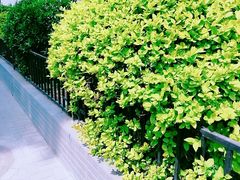 -宏状元现熬粥·京味菜(三里河店)