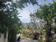 -三圣花乡旅游区