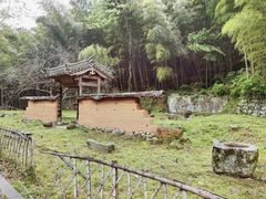 -祁门牯牛降观音堂风景区