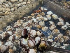 -亚马逊海鲜自助(梅溪湖步步高店)