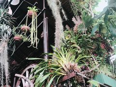 -自然餐厅(Phuket)