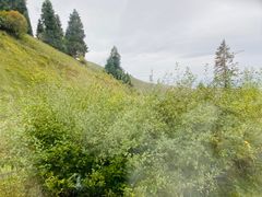 -新疆那拉提国家旅游度假区