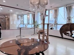 -共舞时光猫咖·狗咖(新街口店)