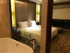 -深圳观澜格兰云天国际酒店