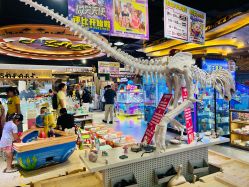 -卡通尼·Safari非洲探索乐园·生日会(金桥国际商业广场店)