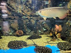 -华夏文旅海洋公园