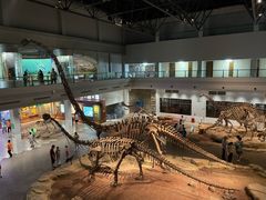 -自贡恐龙博物馆
