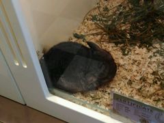 -龙猫仔乐园(惠福东路店)