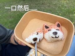 -上海共青森林公园