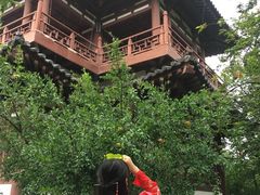 -西安青龙寺遗址景区