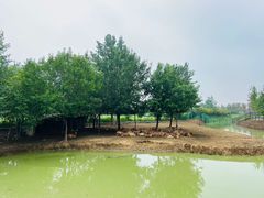 -泗洪洪泽湖湿地景区