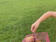 -福建鲤鱼洲酒店