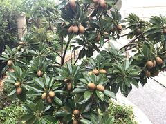 -江渔儿酸菜鱼(映月湖环宇城店)