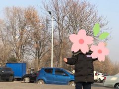 -绿堤公园