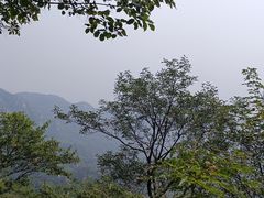 -大岭沟猕猴桃谷风景区
