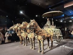 -秦始皇帝陵博物院(兵马俑)
