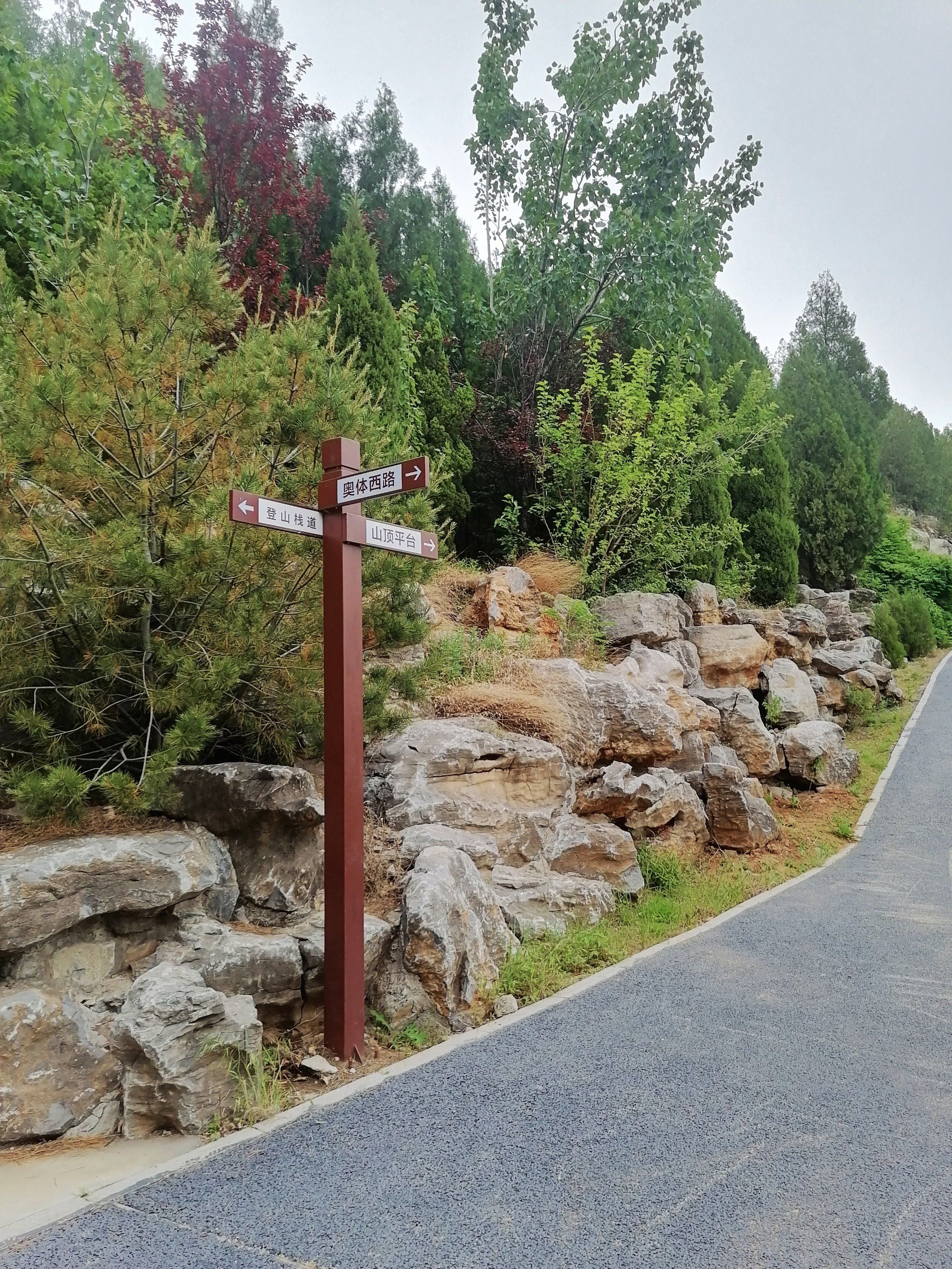 济南山体公园7915转山